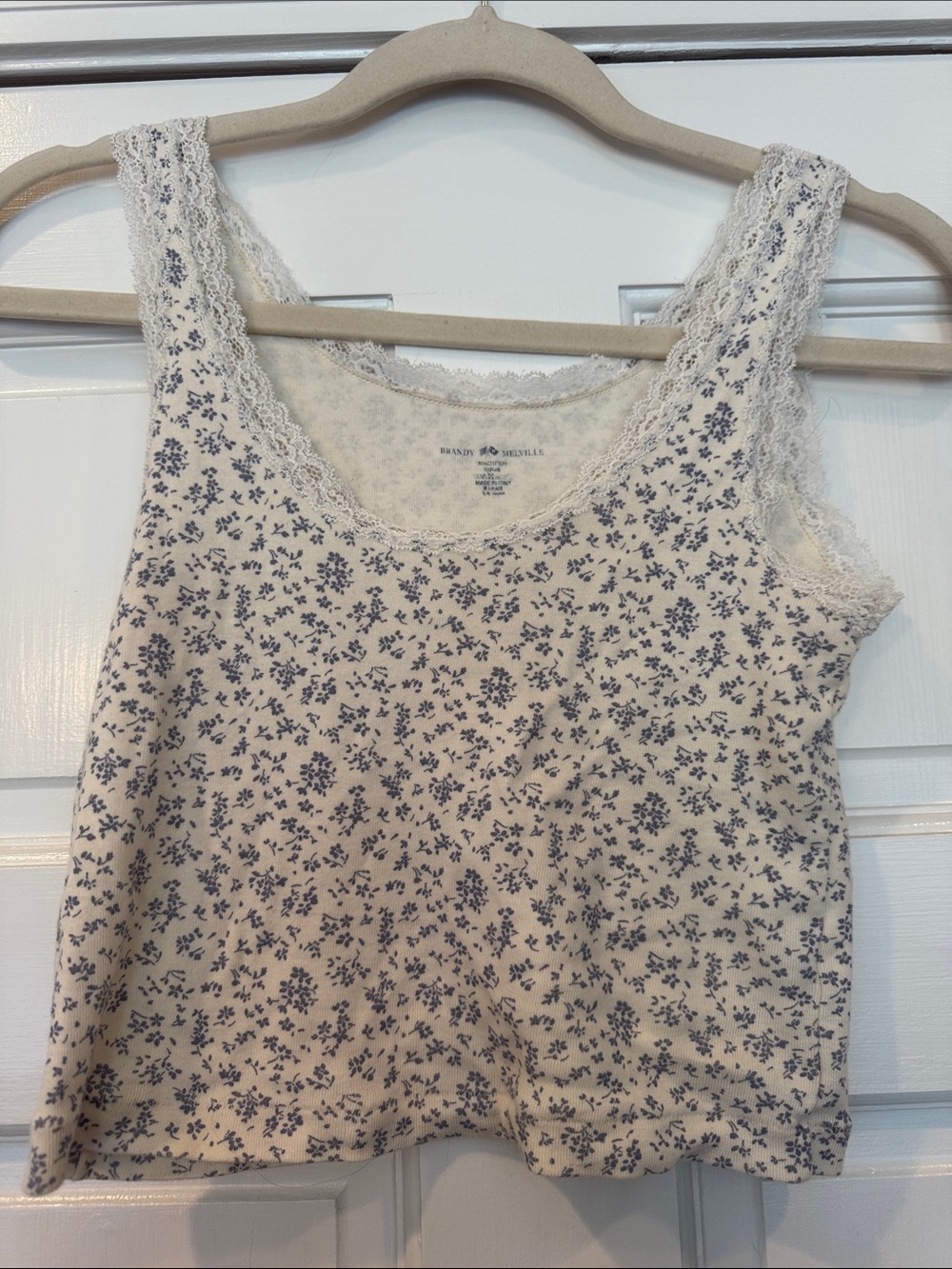 Brandy Melville Cream Camisole with Blue Floral Print and Lace Trim